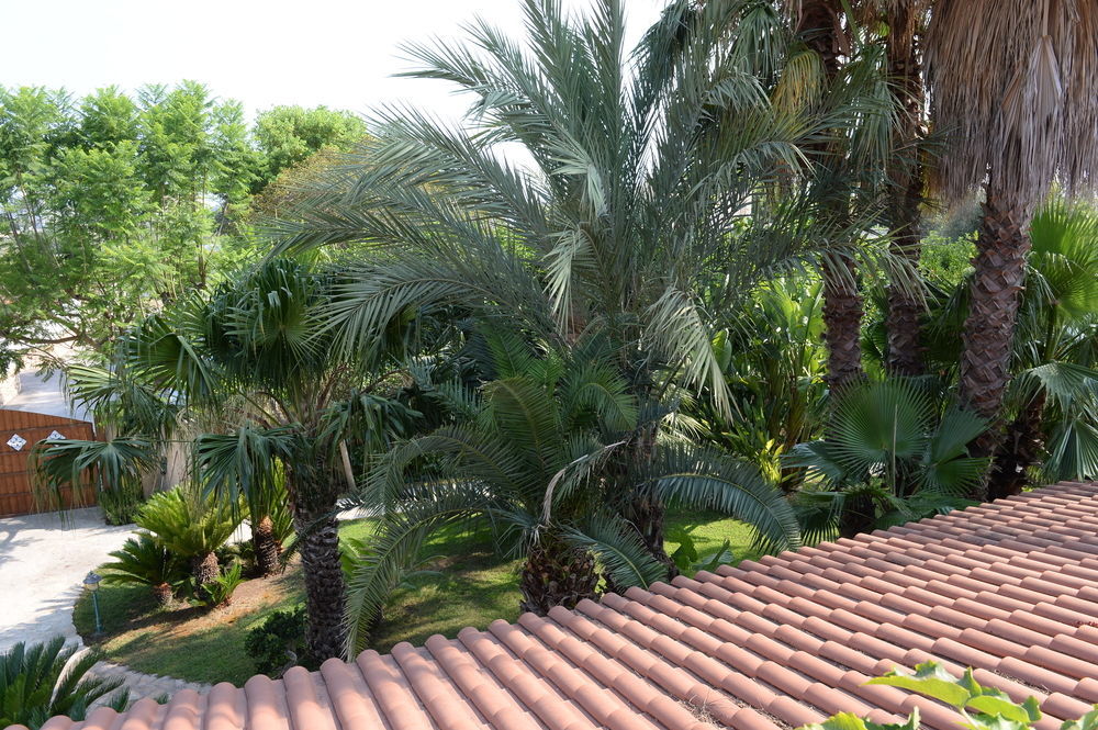 Bed and Breakfast Il Giardino Delle Jacaranda Talsano Exterior foto
